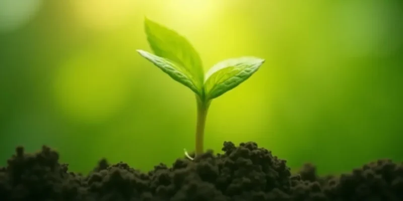 Jak szybko rosną włosy? Fakty, czynniki i porady